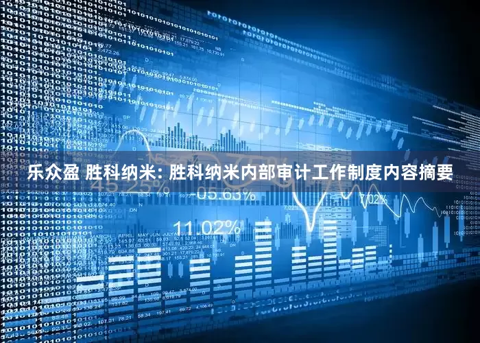 乐众盈 胜科纳米: 胜科纳米内部审计工作制度内容摘要