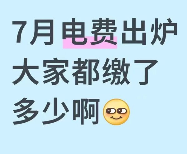策略操盘 救命！这个夏天的电费账单引热议！上海网友：查完我默默关了空调