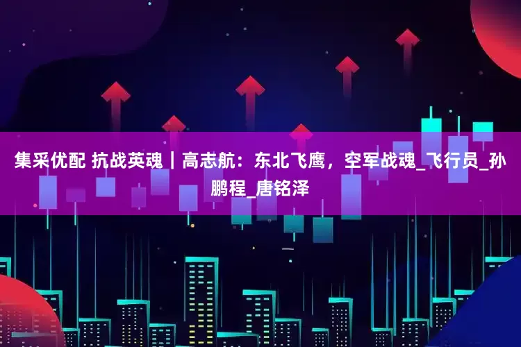 集采优配 抗战英魂｜高志航：东北飞鹰，空军战魂_飞行员_孙鹏程_唐铭泽